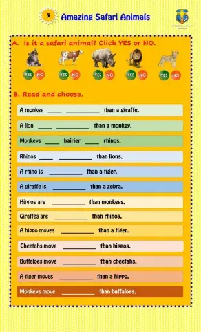 Amazing Safari Animals