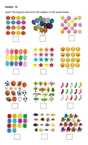 Mathematics - Number 16