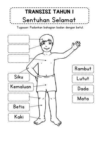 Transisi - Anggota Tubuh Badan
