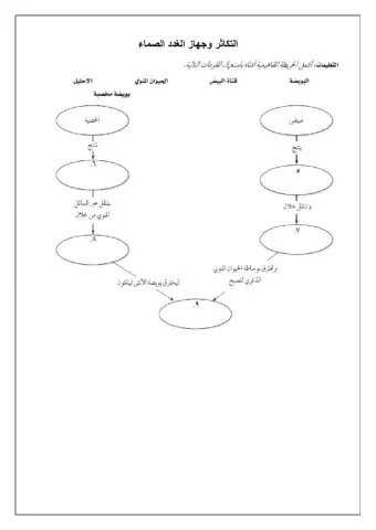 خريطة مفاهيم التكاثر والغدد الصماء