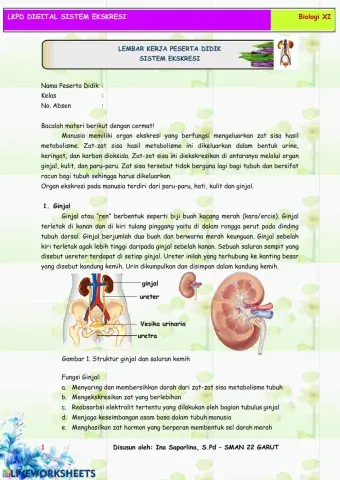 Lkpd sistem ekskresi