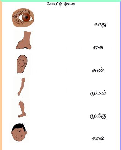 Preschool tamil Activity
