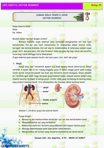 LKPD Sistem Ekskresi Manusia
