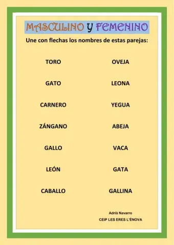 Masculino y Femenino