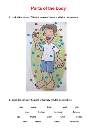 Parts of the body