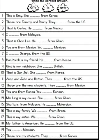 Choose the correct answer for pronoun