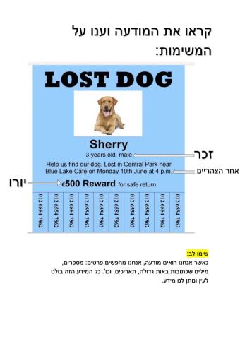 Lost dog