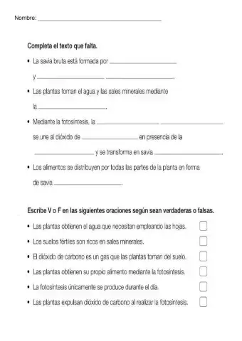 Las plantas y sus funciones vitales