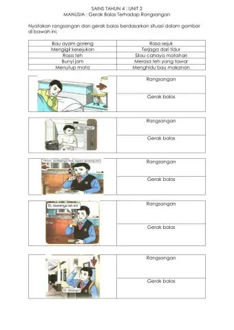 Sains tahun 4 gerak balas terhadap rangsangan