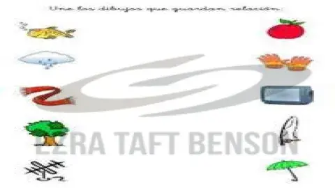 Objetos que guardan relación