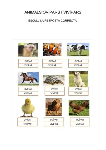 Animals ovípars i vivípars