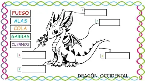 Partes de un dragón