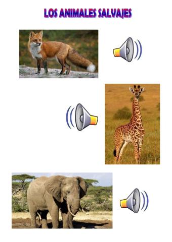 Los animales salvajes 2