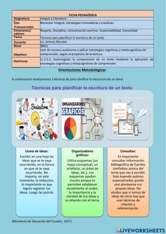 Técnicas para planificar la escritura de un texto