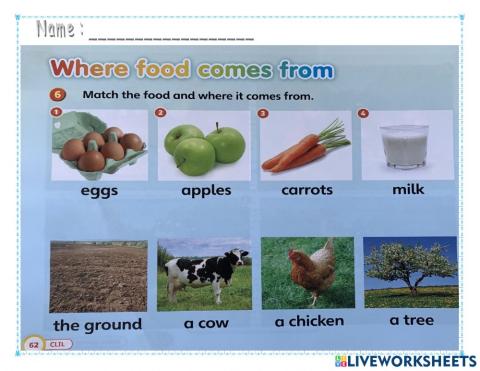 Match and draw lines!
