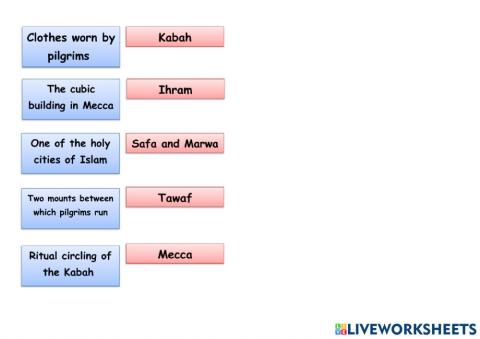 6a. An amazing journey