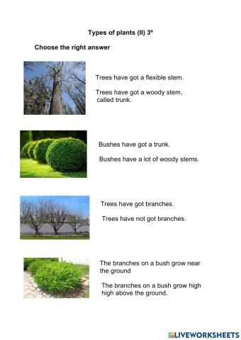 Types of plants