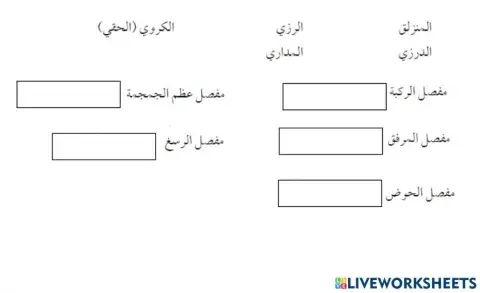 انواع المفاصل