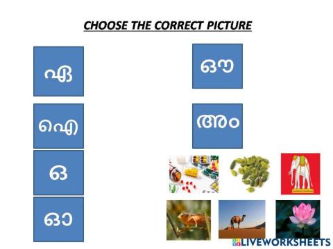 Choose the correct picture