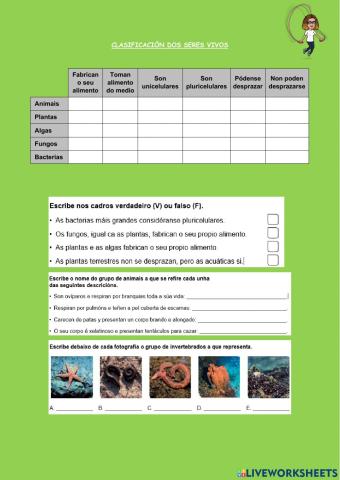 Clasificación seres vivos