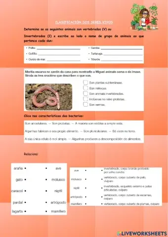 Clasificación seres vivos