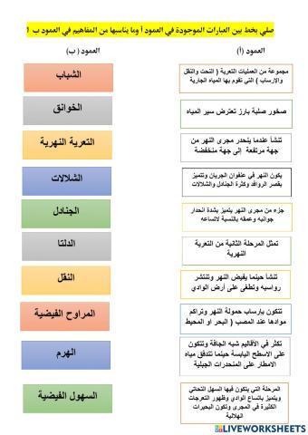 العبارات والمفاهيم