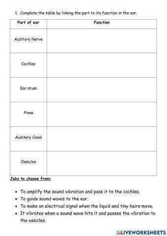 Function of part of the Ear