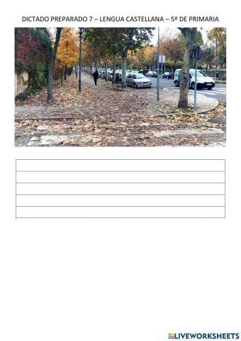 Dictado 7
