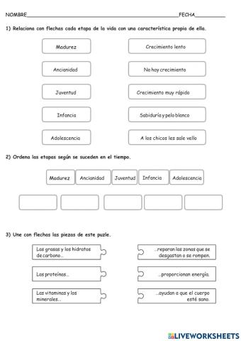 Evaluación de la unidad 3 de naturales