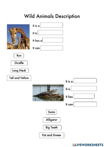 Wild Animals Description