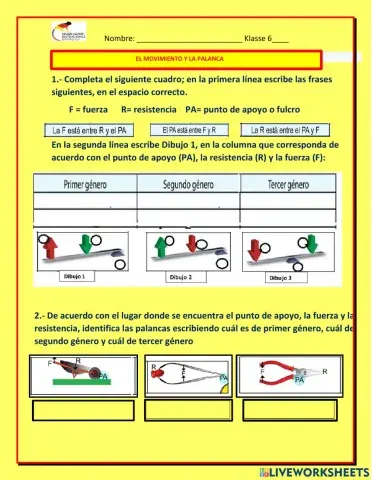 Los movimientos y las palancas