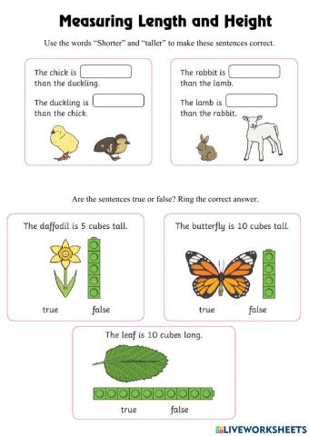 Non standard unit of measurement