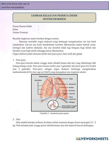 Lkpd sistem ekskresi