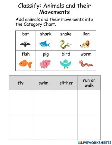 Animal Movements: Classify
