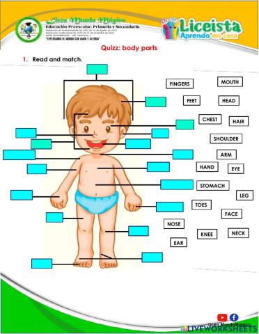 Quiz: body parts