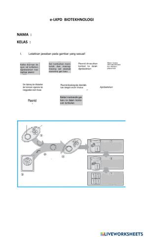 LKPD Biotekhnologi