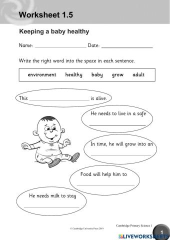 Y1 Worksheet 1.5