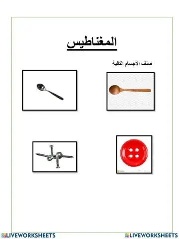 نشاط العلوم