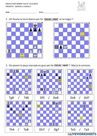 Escac i mat1