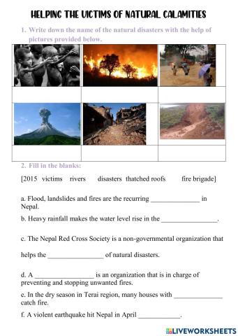 Revision of Natural Disaster