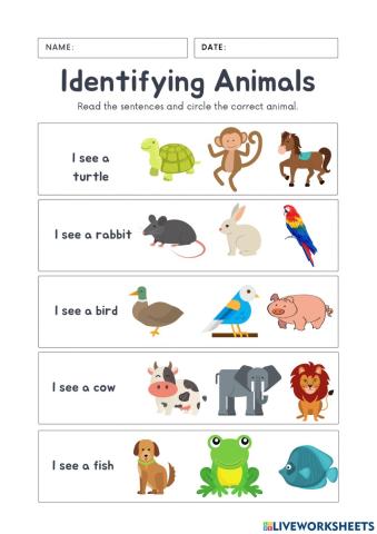 Identifying Animals