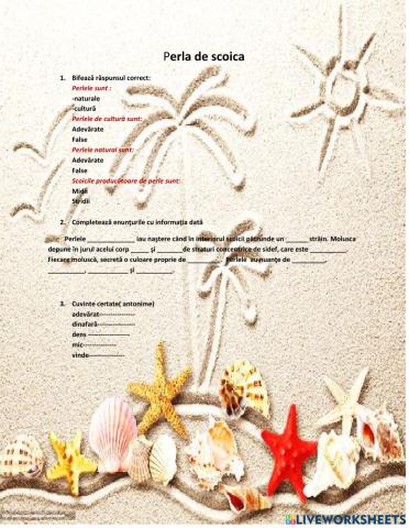 Perla de scoica