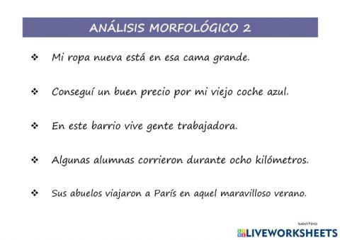 Análisis morfológico