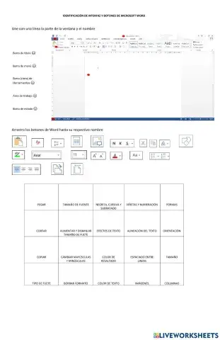 Interfaz y Botones de Word