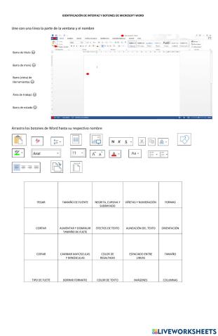 Interfaz y Botones de Word