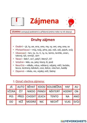 Pracovní list - Zájmena