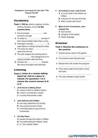 SA for 8th grade ( I variant)