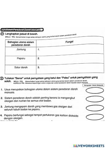 Sistem Peredaran Darah Manusia