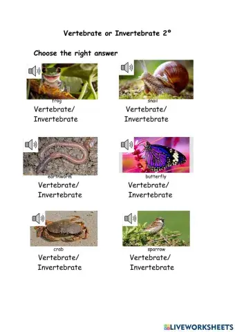 Vertebrate and invertebrate 2º
