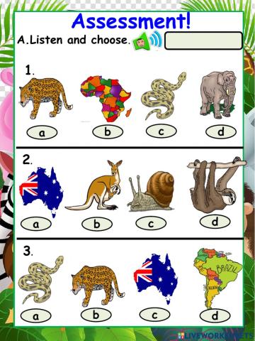Amazing Animals Assessment
